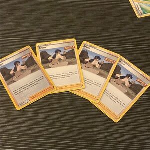 Pokemon Trainer Bruno Cards
